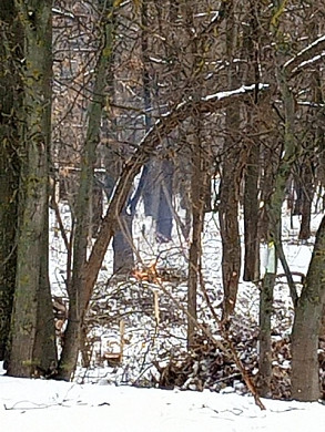 Во дворе жилого дома второй месяц горят костры